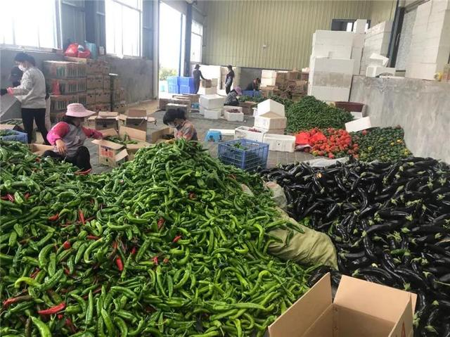 广州蔬菜批发市场在哪里,广州蔬菜批发市场哪里最便宜